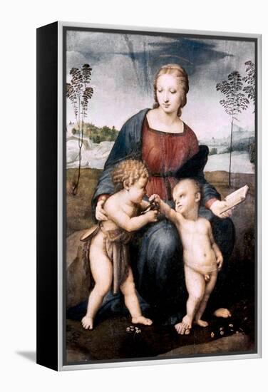 Madonna Del Cardellino, 1507-Raphael-Framed Premier Image Canvas