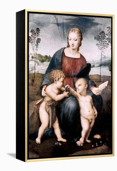 Madonna Del Cardellino, 1507-Raphael-Framed Premier Image Canvas