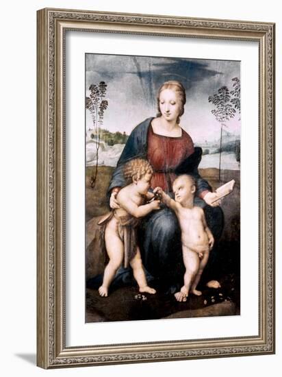 Madonna Del Cardellino, 1507-Raphael-Framed Giclee Print