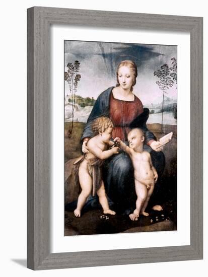 Madonna Del Cardellino, 1507-Raphael-Framed Giclee Print