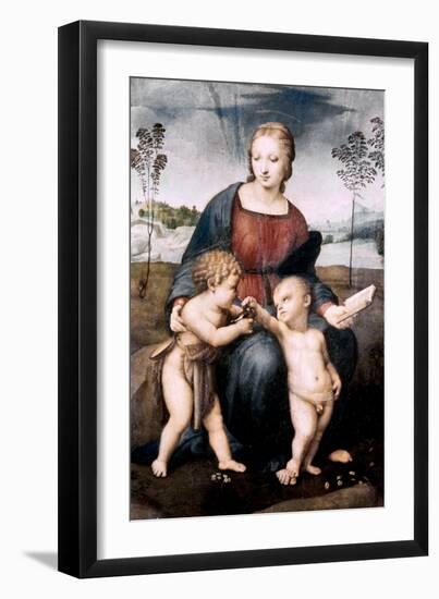 Madonna Del Cardellino, 1507-Raphael-Framed Giclee Print