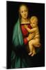 Madonna "del Granduca" - the Madonna of the Grandduke. Painted 1506-Raphael-Mounted Giclee Print