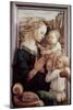 Madonna Del Granduca-Raphael-Mounted Giclee Print