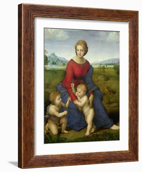 Madonna in the Meadow, 1505 or 1506-Raphael-Framed Giclee Print