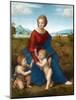 Madonna in the Meadow by Raphael-null-Mounted Giclee Print