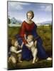 Madonna in the Meadow-Raphael-Mounted Giclee Print