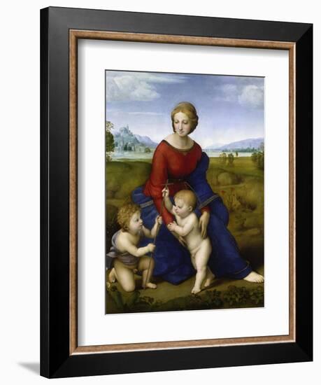 Madonna in the Meadow-Raphael-Framed Giclee Print