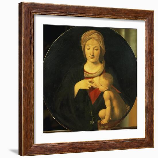 Madonna Lactans-Giovanni Antonio Boltraffio-Framed Giclee Print