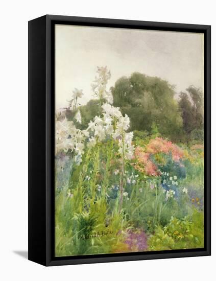 Madonna Lilies-Mildred Anne Butler-Framed Premier Image Canvas