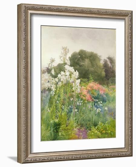 Madonna Lilies-Mildred Anne Butler-Framed Giclee Print