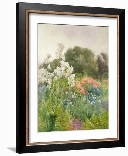 Madonna Lilies-Mildred Anne Butler-Framed Giclee Print