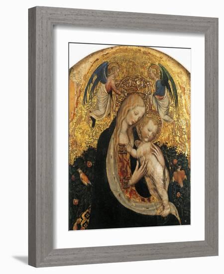 Madonna of Quail-Antonio Pisanello-Framed Giclee Print