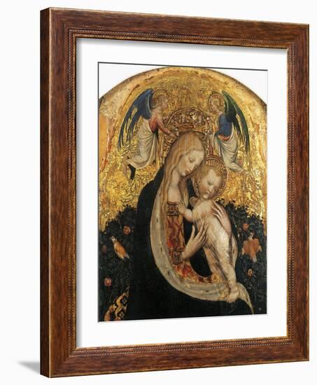 Madonna of Quail-Antonio Pisanello-Framed Giclee Print