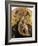 Madonna of Quail-Antonio Pisanello-Framed Giclee Print