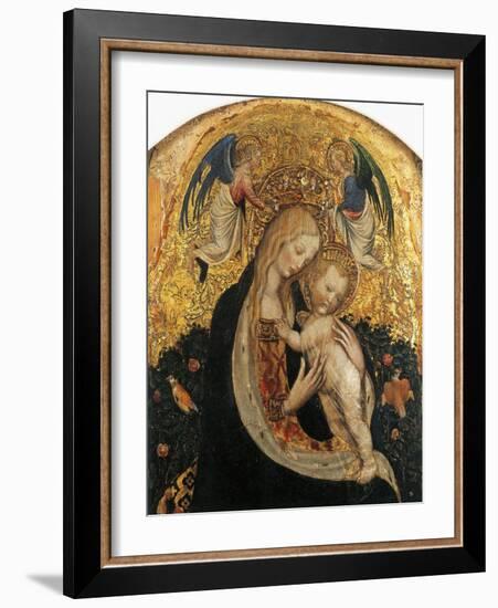 Madonna of Quail-Antonio Pisanello-Framed Giclee Print