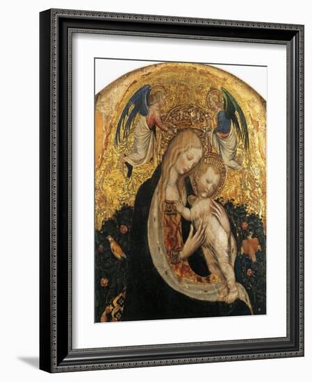 Madonna of Quail-Antonio Pisanello-Framed Giclee Print