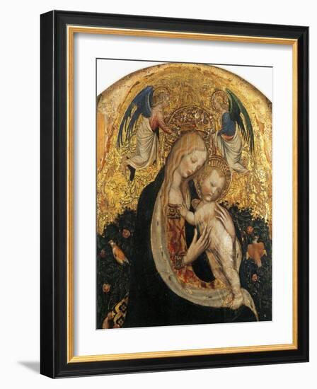 Madonna of Quail-Antonio Pisanello-Framed Giclee Print