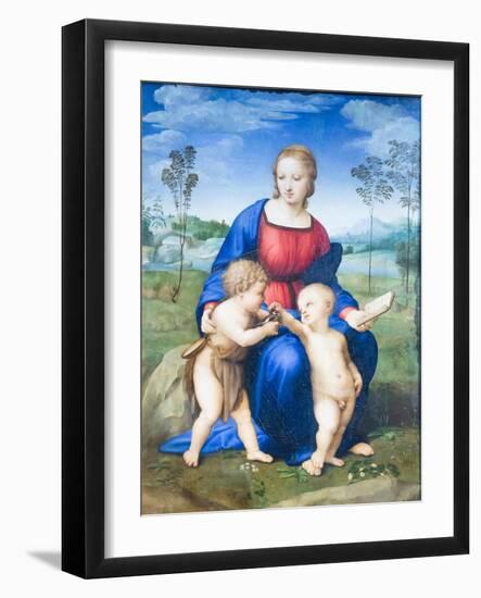 Madonna of the Goldfinch, 1505-06, (Oil on Wood Panel)-Raphael-Framed Giclee Print
