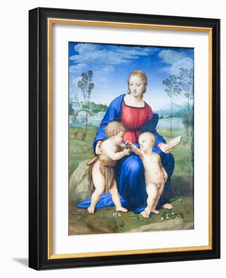 Madonna of the Goldfinch, 1505-06, (Oil on Wood Panel)-Raphael-Framed Giclee Print