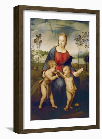 Madonna of the Goldfinch, about 1506-Raphael-Framed Giclee Print