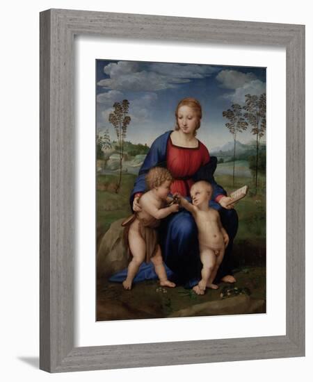 Madonna of the Goldfinch, c.1505-06-Raphael-Framed Giclee Print