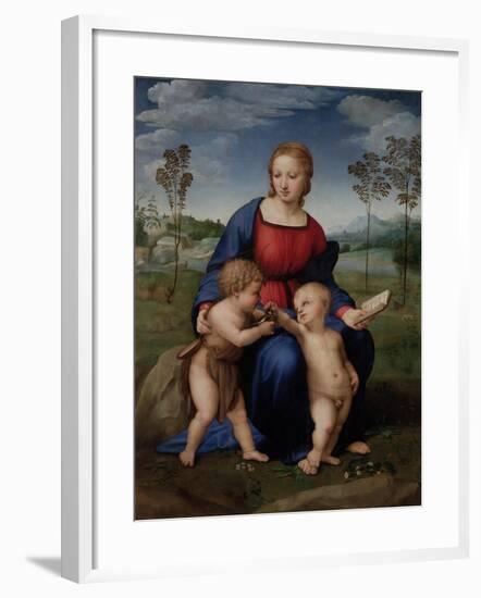 Madonna of the Goldfinch, c.1505-06-Raphael-Framed Giclee Print