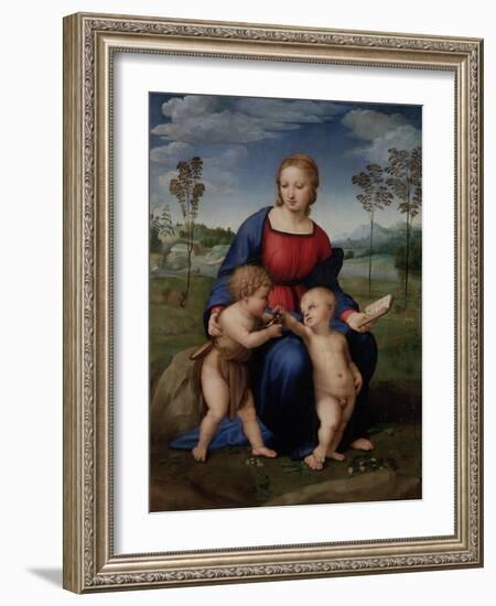 Madonna of the Goldfinch (Madonna Del Cardellin), 1505-1506-Raphael-Framed Giclee Print