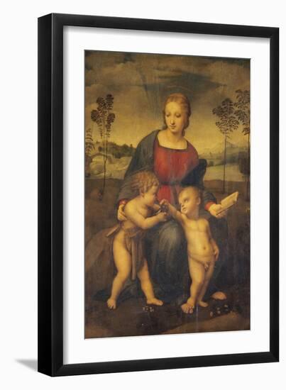 Madonna of the Goldfinch-Raphael-Framed Giclee Print