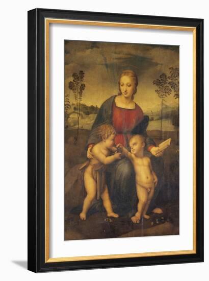 Madonna of the Goldfinch-Raphael-Framed Giclee Print