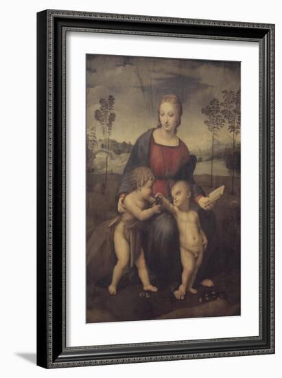 Madonna of the Goldfinch-Raphael-Framed Giclee Print