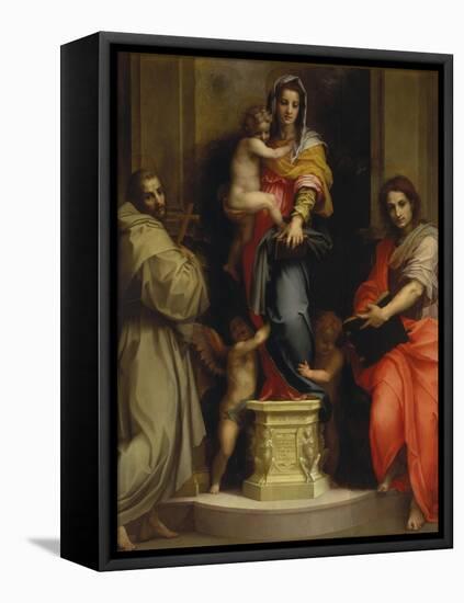 Madonna of the Harpies, 1517-Andrea del Sarto-Framed Premier Image Canvas