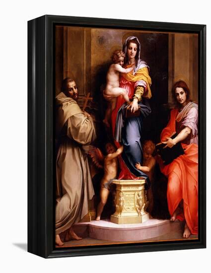 Madonna of the Harpies (Madonna Delle Arpi), 1517-Andrea del Sarto-Framed Premier Image Canvas