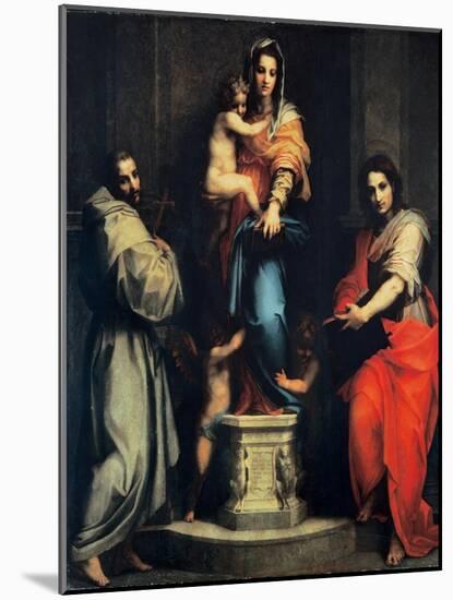 Madonna of the Harpies-Andrea del Sarto-Mounted Art Print