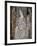 Madonna of the Pear-null-Framed Giclee Print