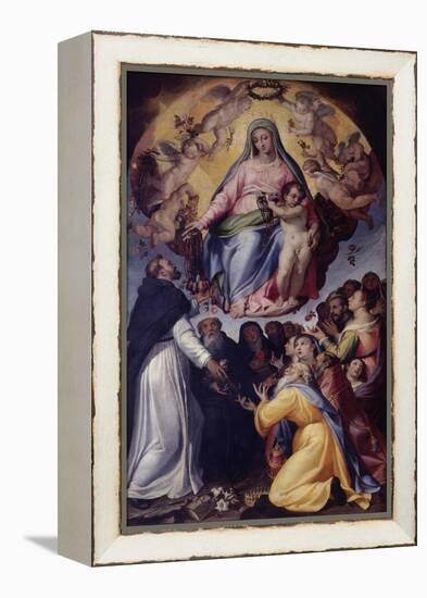 Madonna of the Rosary-Bartolomeo Passarotti-Framed Stretched Canvas