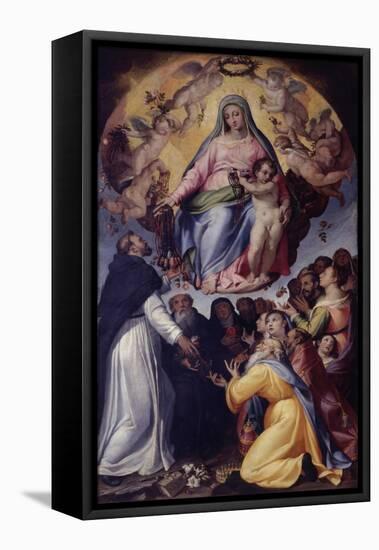 Madonna of the Rosary-Bartolomeo Passarotti-Framed Stretched Canvas