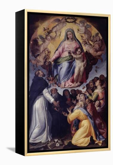 Madonna of the Rosary-Bartolomeo Passarotti-Framed Stretched Canvas