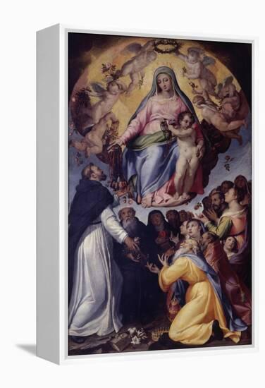 Madonna of the Rosary-Bartolomeo Passarotti-Framed Stretched Canvas