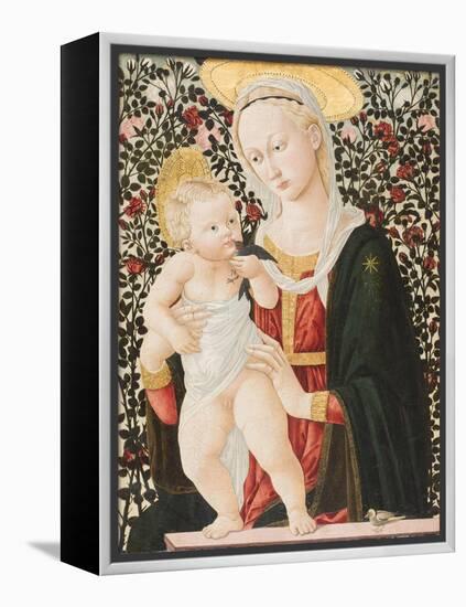 Madonna of the Roses, C.1485-90-Pseudo Pier Francesco Fiorentino-Framed Premier Image Canvas