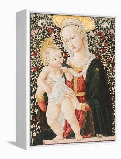 Madonna of the Roses, C.1485-90-Pseudo Pier Francesco Fiorentino-Framed Premier Image Canvas