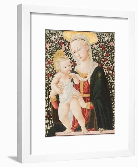 Madonna of the Roses, C.1485-90-Pseudo Pier Francesco Fiorentino-Framed Giclee Print