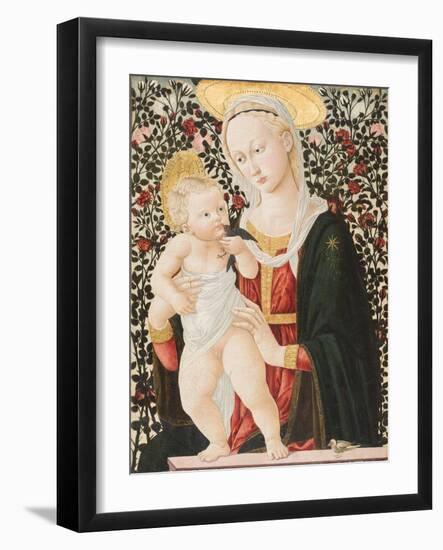 Madonna of the Roses, C.1485-90-Pseudo Pier Francesco Fiorentino-Framed Giclee Print