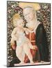Madonna of the Roses, C.1485-90-Pseudo Pier Francesco Fiorentino-Mounted Giclee Print