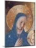 Madonna of the Shadows-Fra Angelico-Mounted Giclee Print