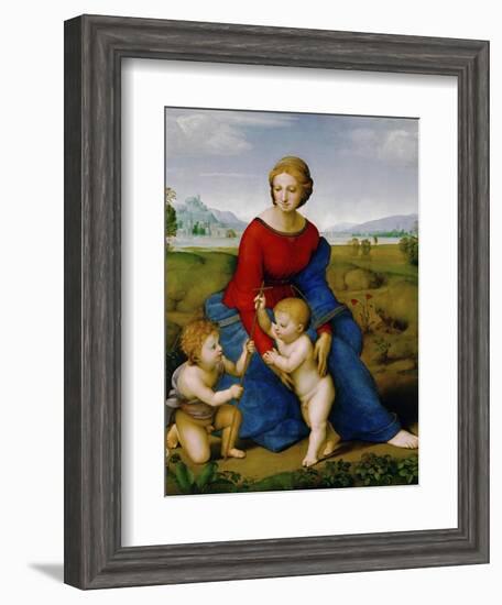 Madonna on the Meadow, 1505 or 1506-Raphael-Framed Giclee Print