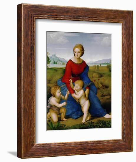 Madonna on the Meadow, 1505 or 1506-Raphael-Framed Giclee Print