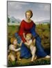 Madonna on the Meadow, 1505 or 1506-Raphael-Mounted Giclee Print
