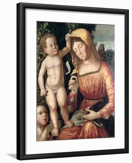 Madonna Sewing-Giovanni Francesco Caroto-Framed Giclee Print