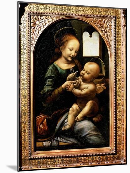 'Madonna with a Flower', (Madonna Benois), 1478-Leonardo Da Vinci-Mounted Giclee Print