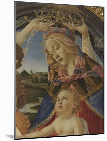 Madonna with Child and Five Angels (Madonna Del Magnificat)-Sandro Botticelli-Mounted Giclee Print